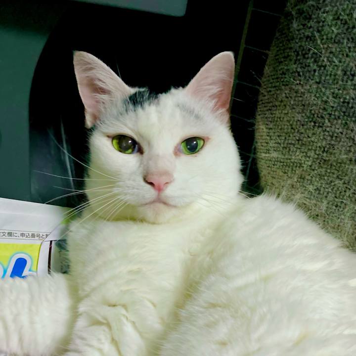 434e72e2 2d36 4758 907e 25b56c4331c5 1693014447931