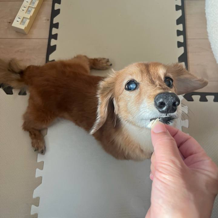 434e7865 c441 4c1c b80d cf5a42e50ef1 1648645914343