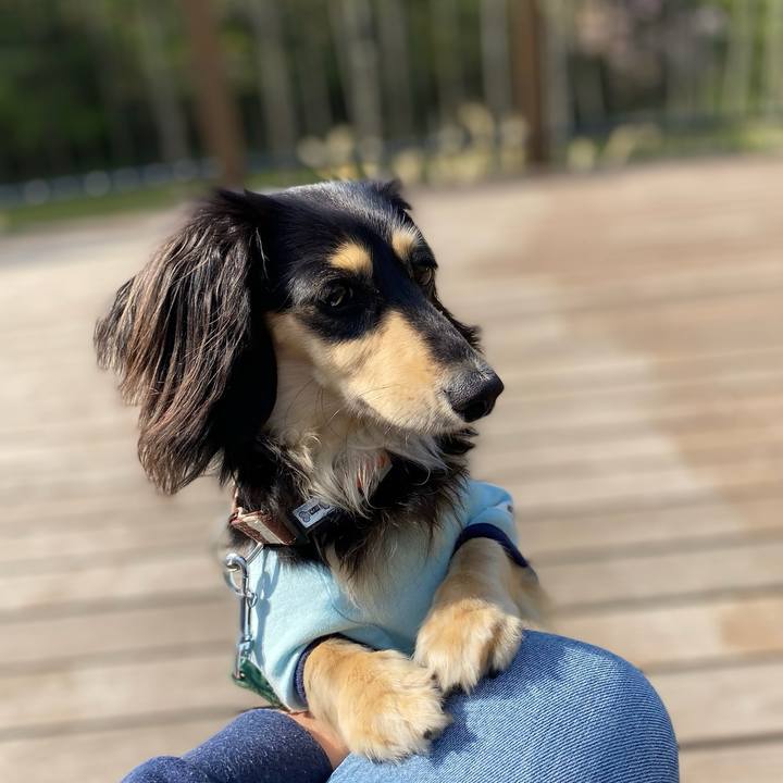 434e821f f307 4189 b483 d562de5c468c 1713060526730