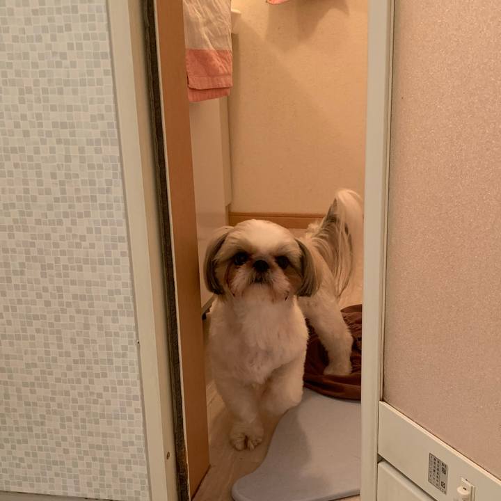 434efe4f 8147 40ae 9747 34cf7efd7747 1579782400556