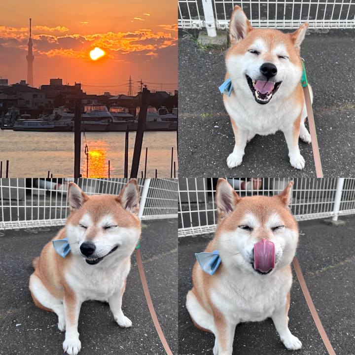 434efe97 76ed 41f2 b719 fbb86b6c793d 1689503233027