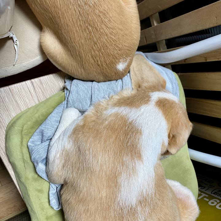 434f4427 31d9 48ad a8f9 24e1d08b9df4 1581684220342