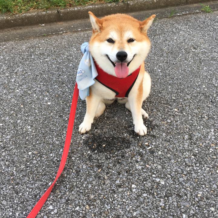 434f8f60 8f91 4265 85bc f01d319078b0 1597793735701