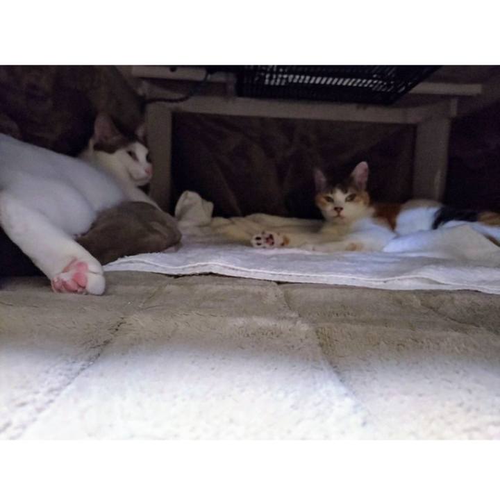 434fc9ab cc47 4fa5 8657 ab28c55e6fd0 1733836259745