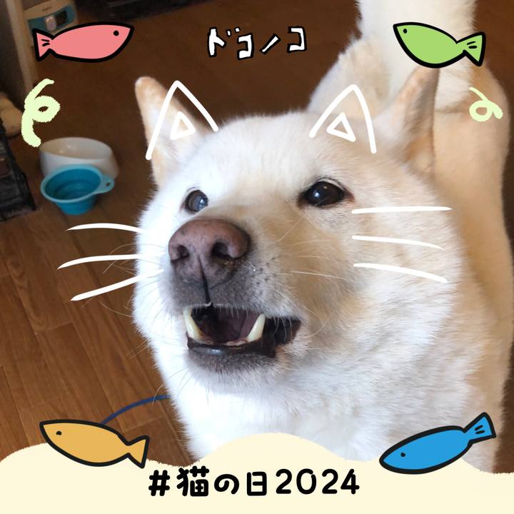 434fd6e6 90ac 4daa 9e6f 51a80cc9970e 1708610200670