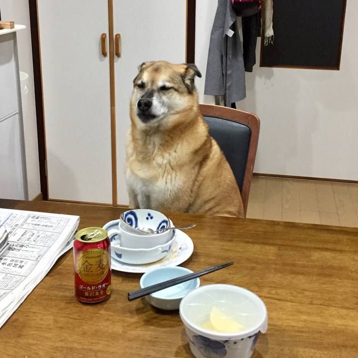 435036a8 9db9 4e7f 8f64 16e1ca54cbc1 1584955597015