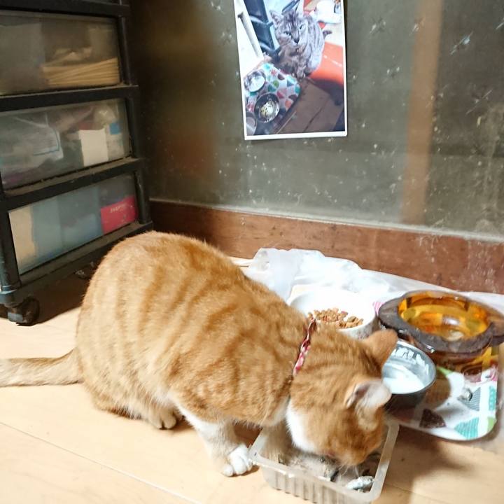 43506a4f f437 4a29 9921 c0f6a31053c8 1602619010032