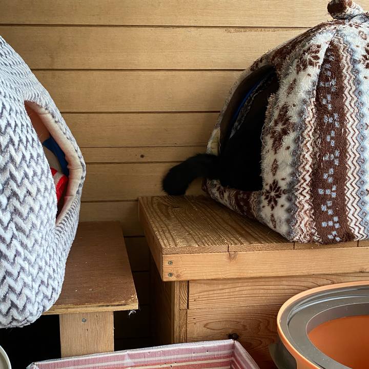 4350ad42 4e5a 4535 878b 4d3041eae440 1636591325869