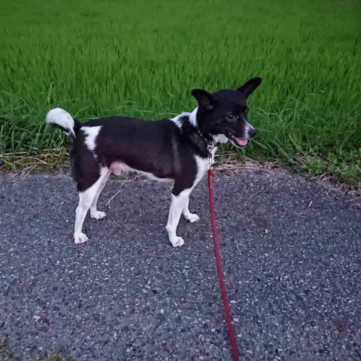 4350f699 4790 421c 82c4 5d01c699c77b 1531134048303