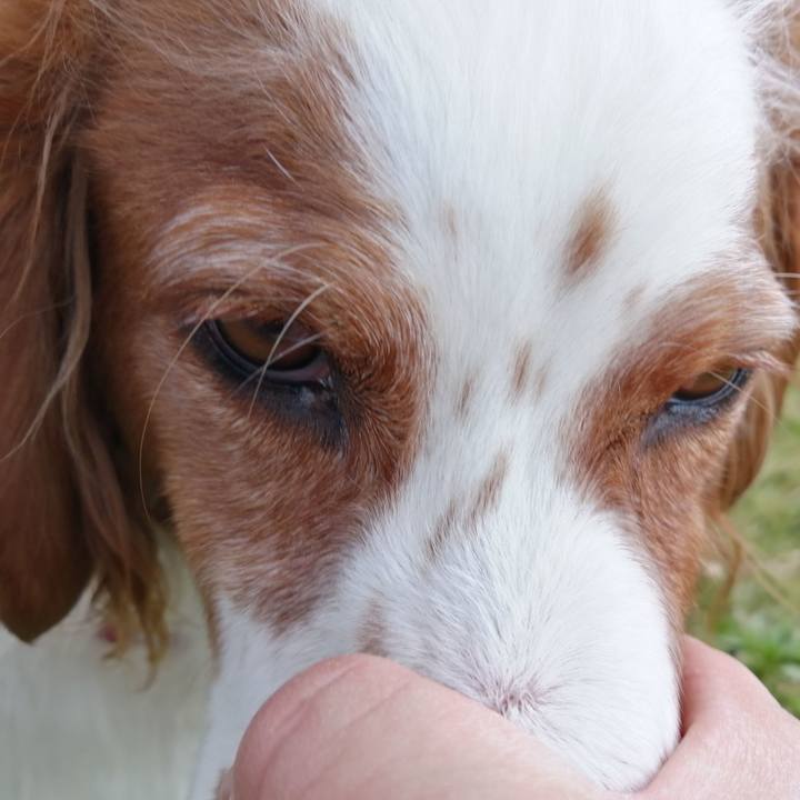 43510ecd 658b 4b8f 9e1f d9c645c22264 1587113328739