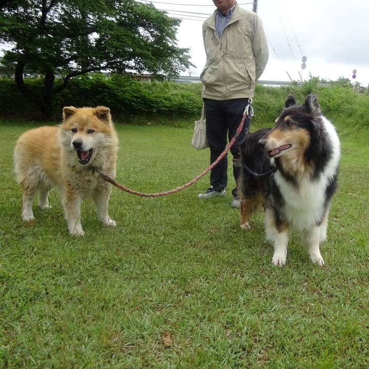 43512c18 c0a5 4371 99de e30be4637031 1590150436864