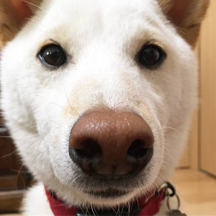 43515c0c 1ccd 4623 a324 9d53b16f6a82 1523535853172