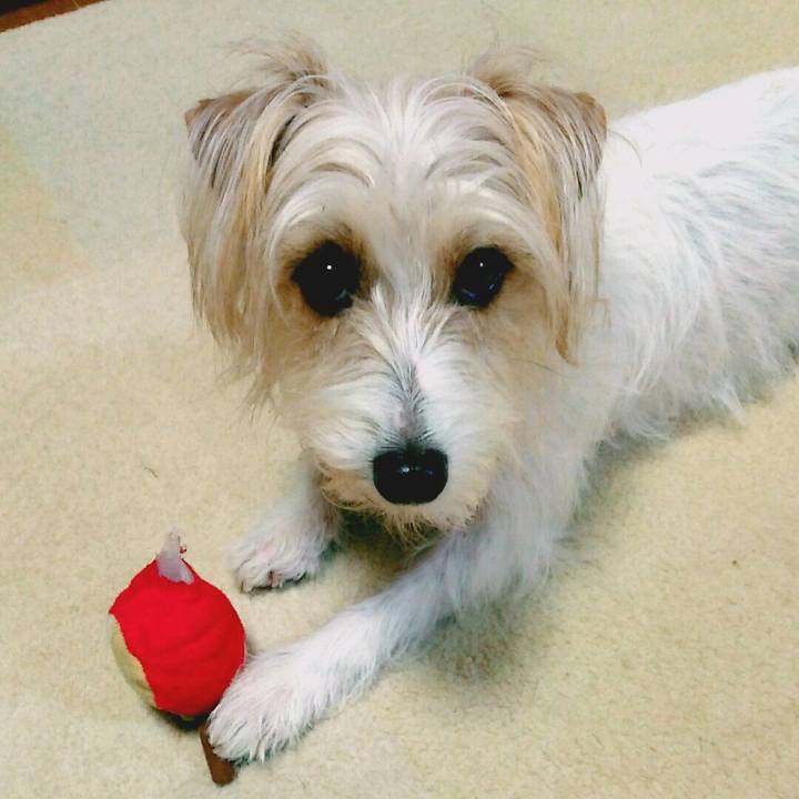 43516641 78ba 4481 8784 1bb1519ebd33 1520085945408