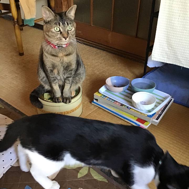 43516f35 9579 4020 814c f120d8ce639a 1634273928830