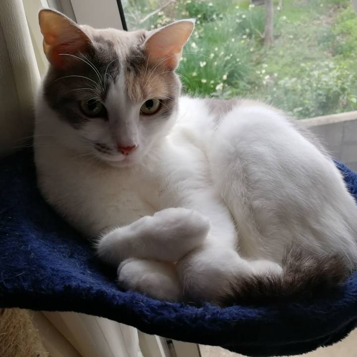 43517a3b 33d5 4433 a467 4352d779d2f1 1545635293214