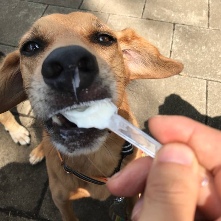 435199e7 2182 4298 b235 88b888b6c88e 1532841352806