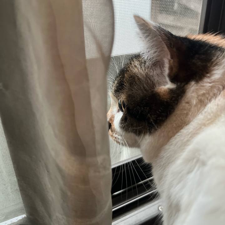 4351a2d9 fa34 4cac bbc6 24057ccd11ba 1770511107560