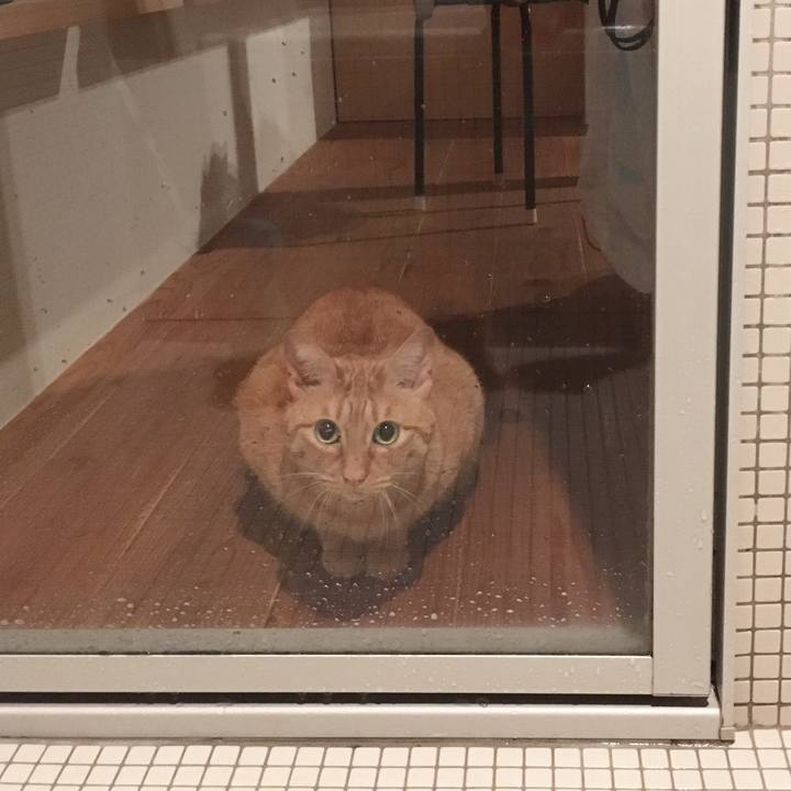 4351bb33 86b0 4809 b407 88df6c851c43 1571703758370