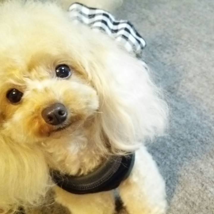 4351cab3 8448 428b b8c5 ff69771635c1 1537790282728