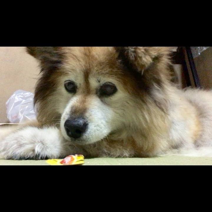 4351f715 e914 440e b924 f87448a00466 1594889083937