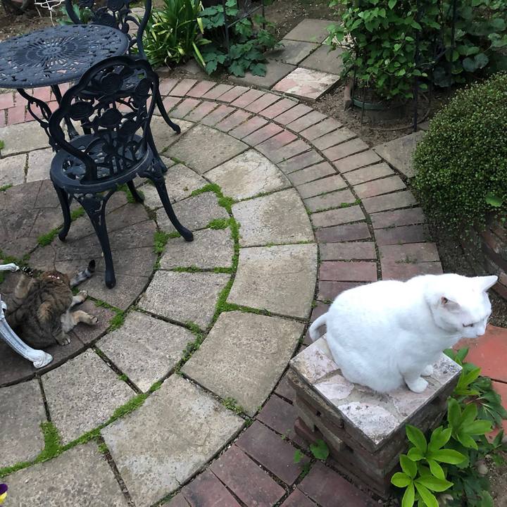 4352089f e519 4a97 a2cd f2d81a1af7fe 1618525700877