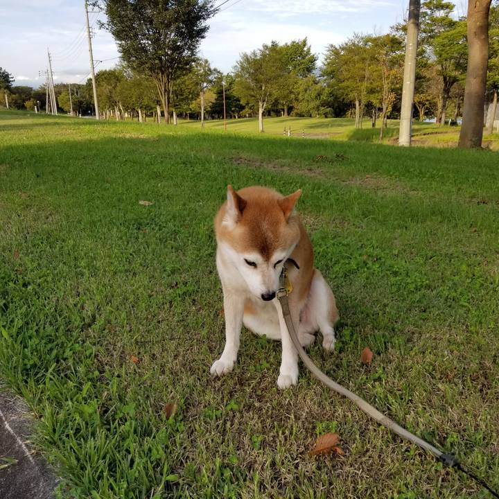 43520dbc d04f 41ad 8bab 16f89b74b88d 1631260388779