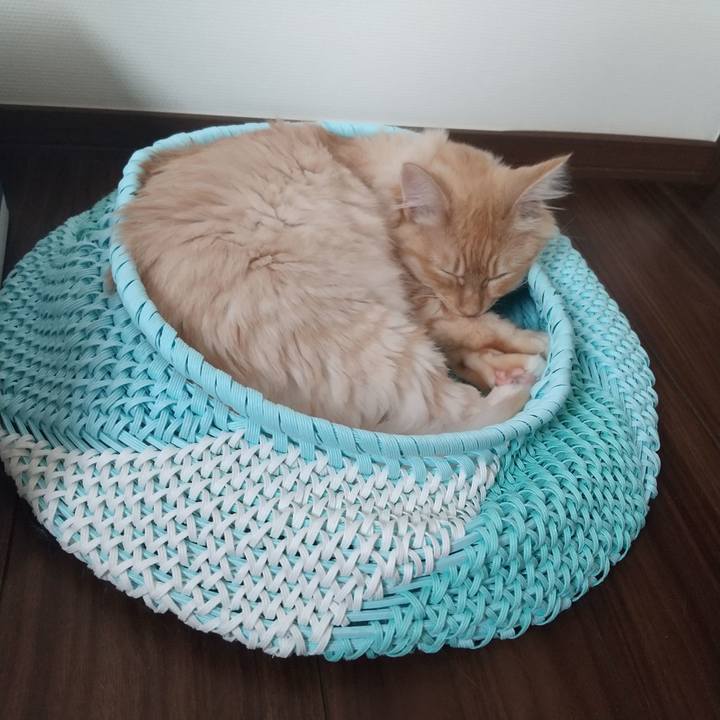 4352106a d186 4201 8bba c23310dc4f75 1624148765673