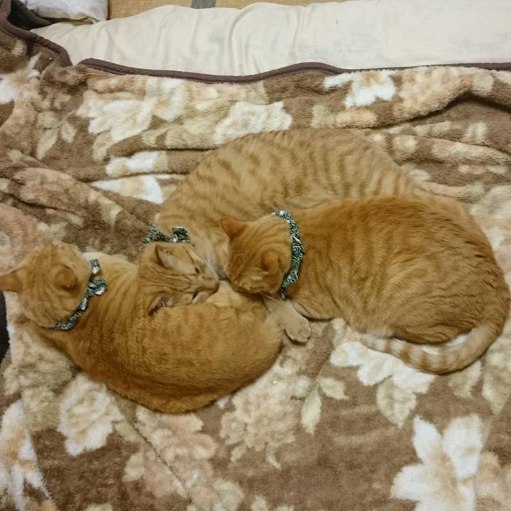 43521567 04c1 4839 9fd8 81807c73d101 1561544025735