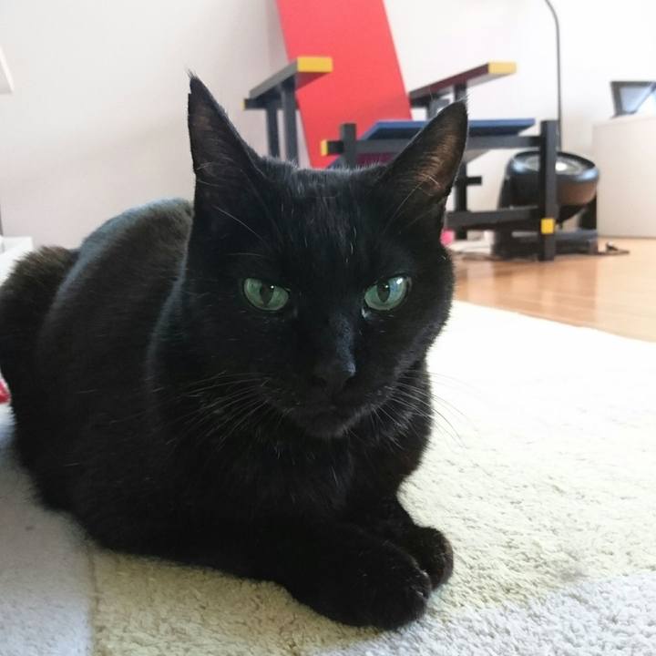 43523f66 7df6 451c 9ffa 3738a197ee53 1508109275313