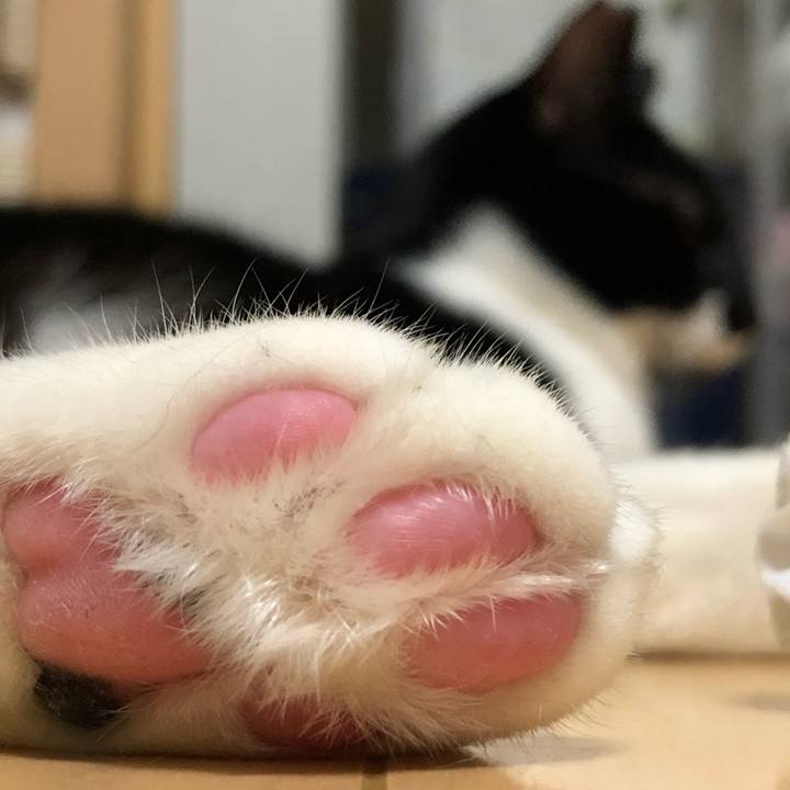 43526d86 3c35 449a ad55 202ca8e44c10 1541361842289