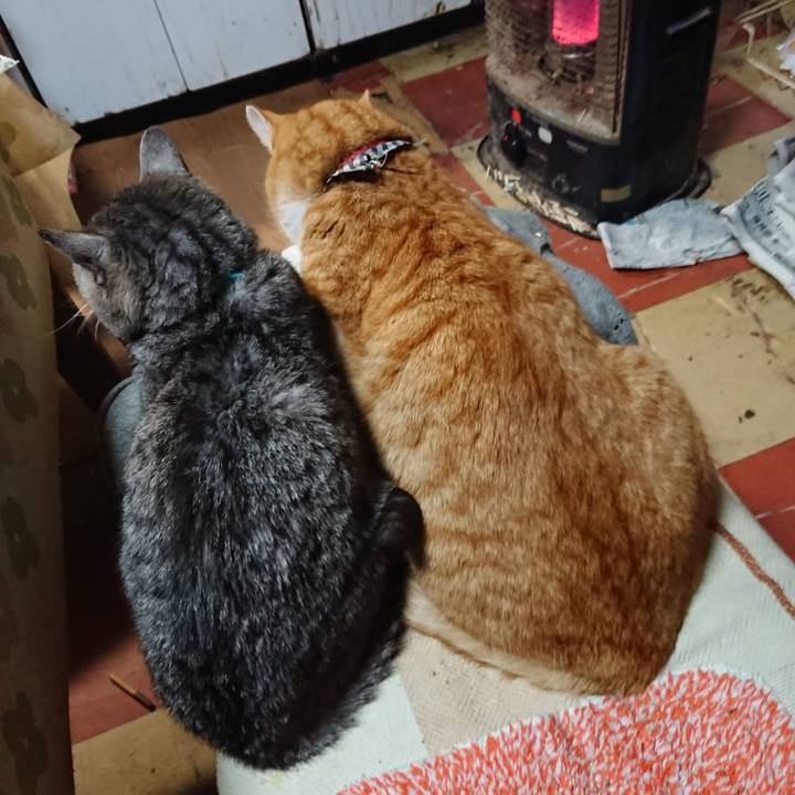 435271eb 60ed 41d3 b986 1f1fc9e8ad04 1576313175989