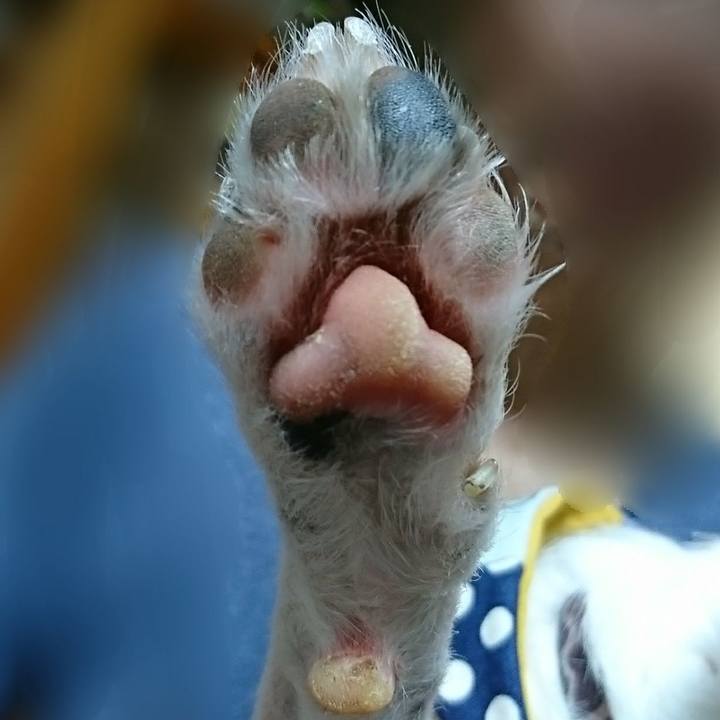 4352a9c9 a3a6 4b63 9405 af677085ffa1 1531662139592