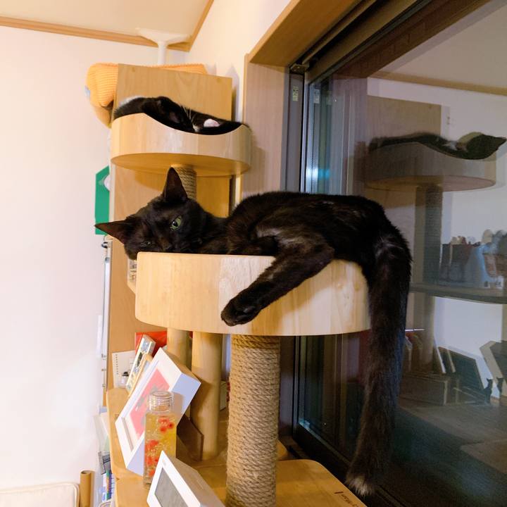 4352abee d805 43f2 801d db70289a78d4 1570198894213