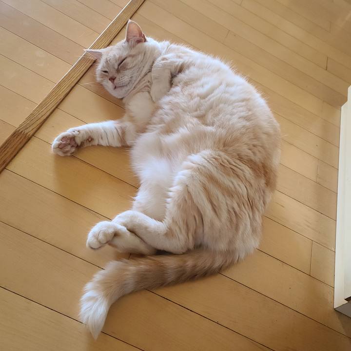 4352b6f1 9255 49e7 9ebb 64f85146e9b8 1626677911174