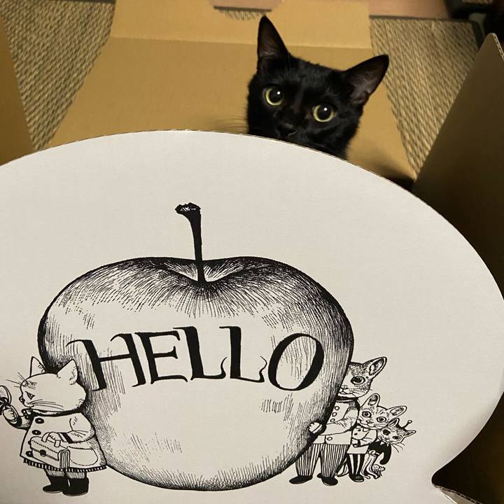 4352bee0 7675 4258 b022 5ee2c2434433 1665750283881