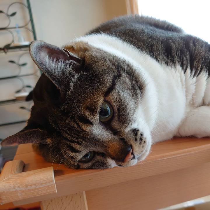 4352c1bf 8589 4101 a0e1 8ffdca84efc9 1588640507511