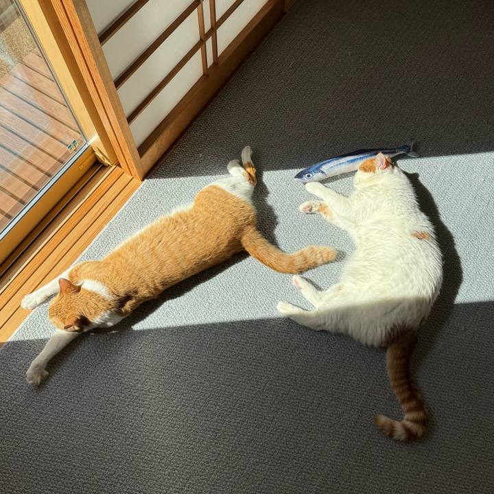 4352ca62 8fb1 4d80 8343 851829d40746 1772351414718