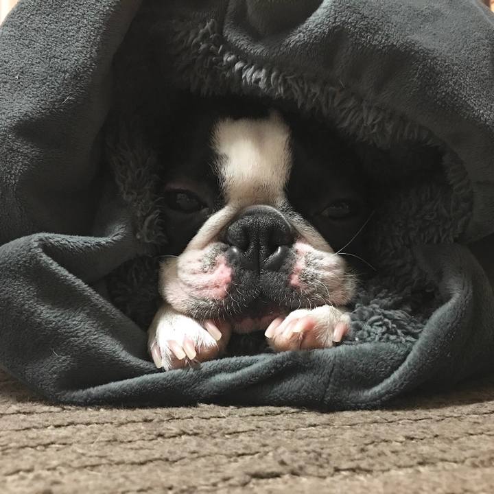 4352dc33 0814 4994 9034 de22f9d138f4 1544963410449