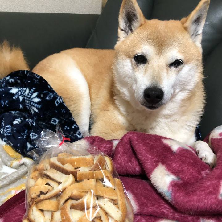 43534ceb 4a8c 4a77 8d3f 777c1bd59a72 1608794577255