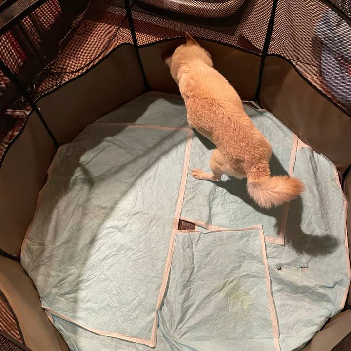 4353c39a 11d2 4ba4 8505 a583a9c819e2 1658148407858