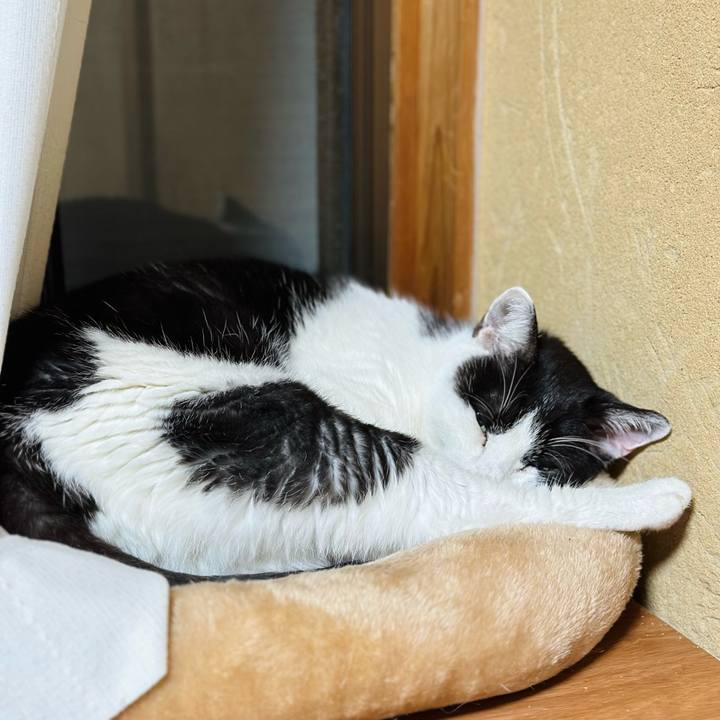 43540504 d178 4a4d b9aa 66d4d0294904 1703990928500