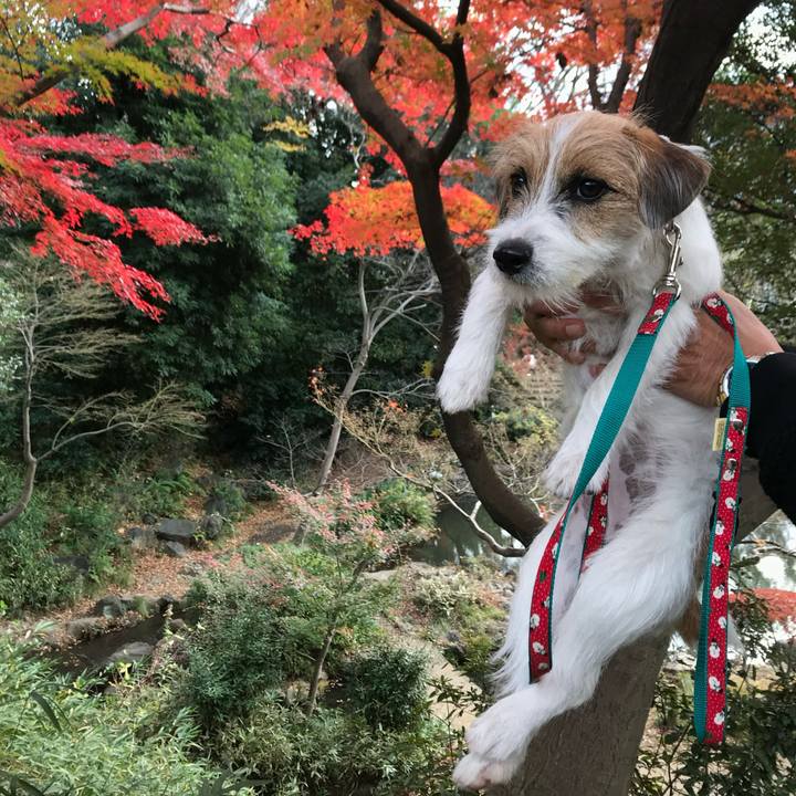 43541334 d488 463a 8802 578d2dc31d94 1765281347842