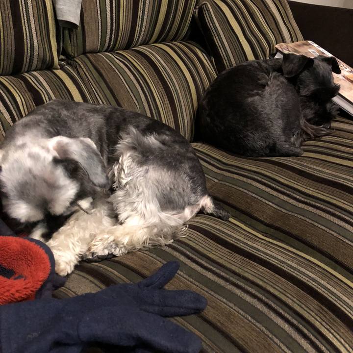 43545442 cd73 4ac6 bbc3 f5e8bf1816b9 1520942661045