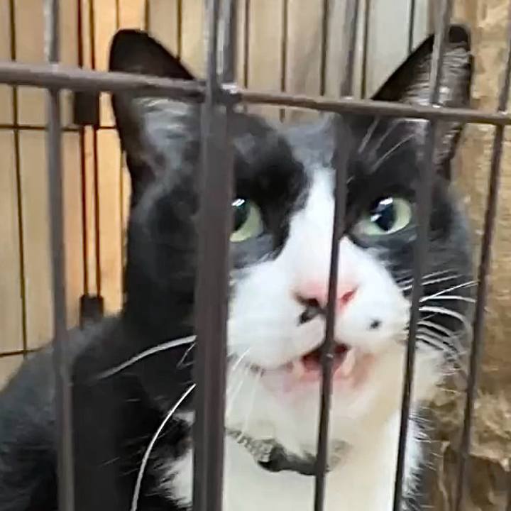 43546082 b1e0 4310 9af1 2f82310c1209 1743300041486