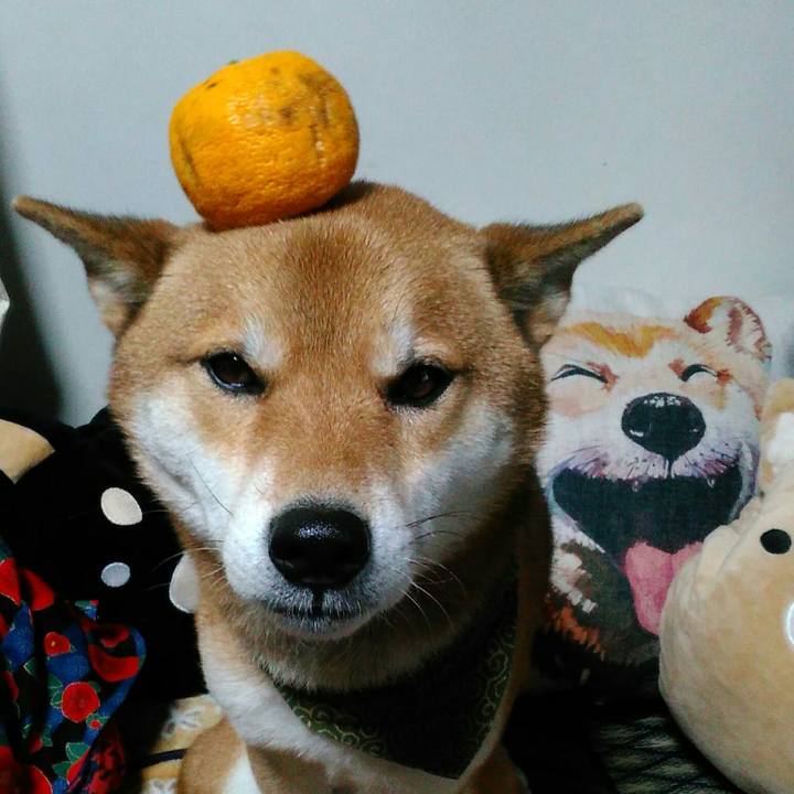 43547ab8 d040 424b 8e41 07773944743f 1513935928026