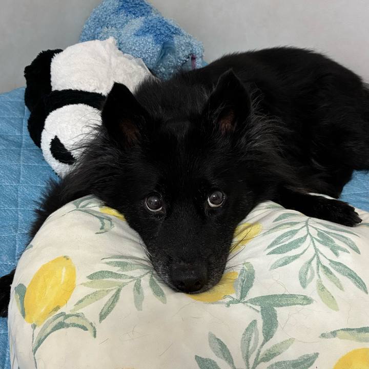 4354975c 8f49 46dd 8a89 8d4385bd1100 1756772055910