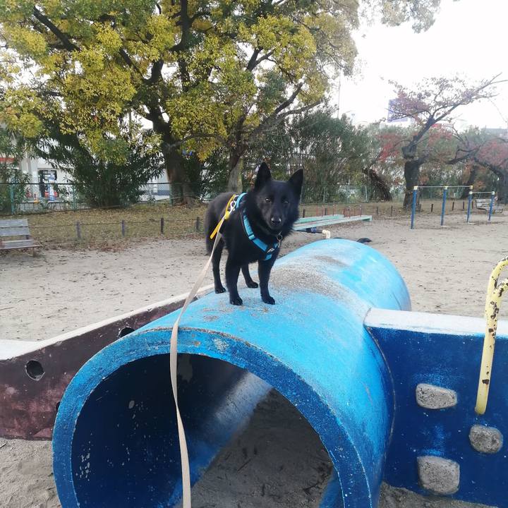 4354e9fe 7334 4897 86fa b7410932c8e5 1668464304227