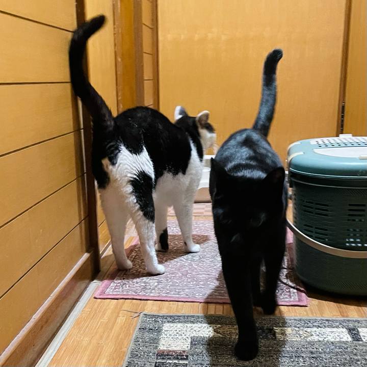 435513af b0ff 45e5 9fa2 cd2e339c239c 1636944100119