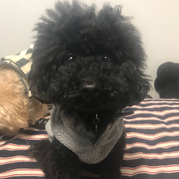 43551ac4 a506 45e9 8ac7 c86121d51c74 1543876844525