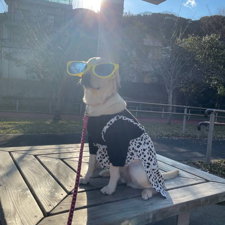 43551c8b 5d72 48bc b796 2bd2014bc30d 1642592867124